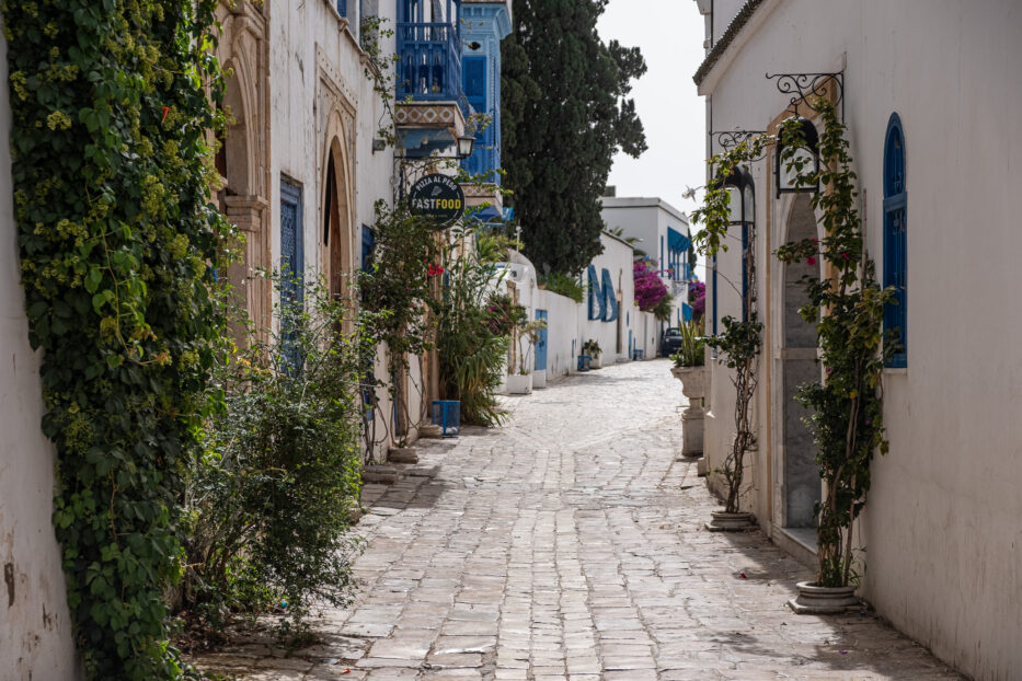 Sidi Bou Said