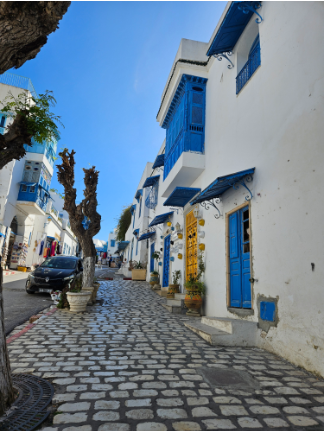 Sidi Bou Said