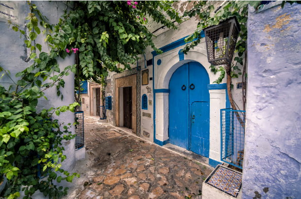 Tunis Carthage Hammamet