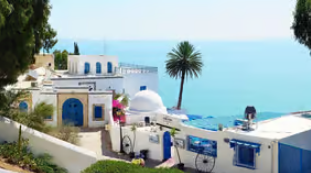 Tunis Carthage Hammamet